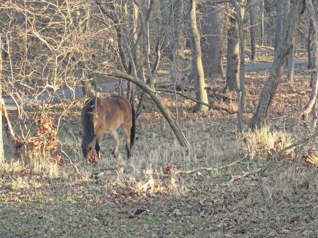 MEDITATIE: JE HART ALS VLUCHTHAVEN MEDITATIE: JE HART ALS VLUCHTHAVEN | JE HART ALS VLUCHTHAVEN